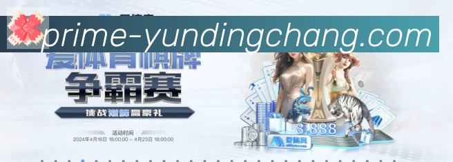 对战数据统计